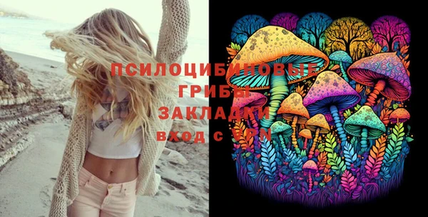 spice Алексеевка