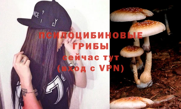 spice Алексеевка