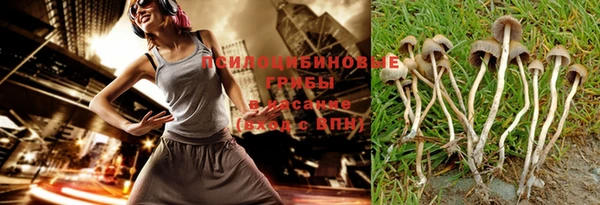гидропоника Абаза